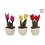 Take me Home Plant pluche tulp - 27 cm