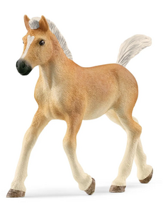 Schleich 13951 - Haflinger veulen
