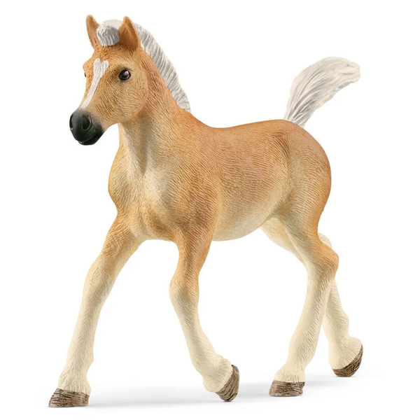 Schleich 13951 - Haflinger veulen