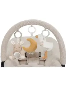 Little Dutch Activiteiten hangers Newborn