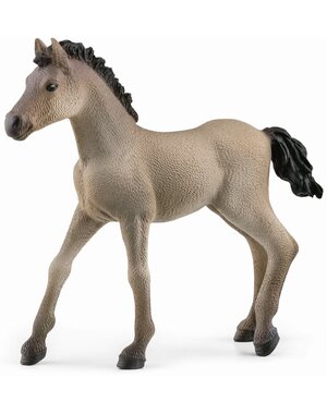 Schleich 13949 - Criollo Definitivo veulen