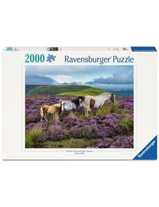 Ravensburger Wilde paarden in de heide - 2000 stukjes