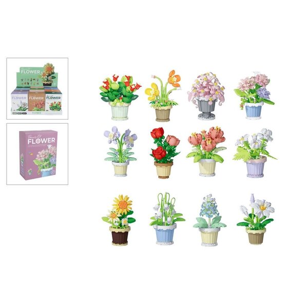 Bouwstenen plant in pot - 12 ass