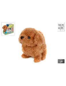 Take me Home Lopend hondje bruin met diverse functies
