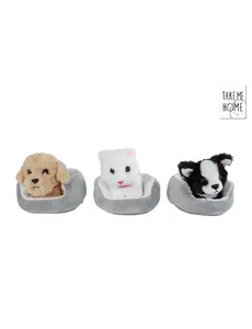 Take me Home Pluche hond of poes in mandje - 12 cm, 3 ass.