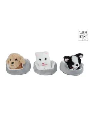 Take me Home Pluche hond of poes in mandje - 12 cm, 3 ass.