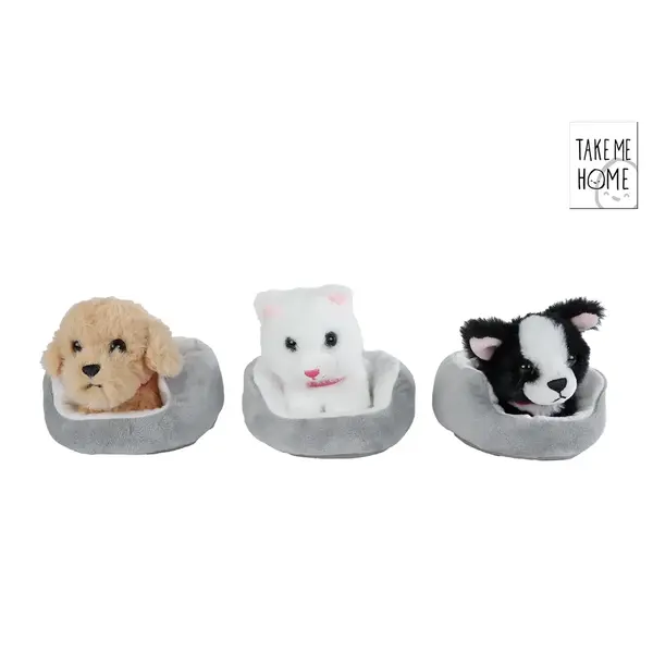 Take me Home Pluche hond of poes in mandje - 12 cm, 3 ass.