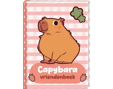 Vrienden- en dagboeken