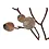 Kunsttak "Wild Fruit" bruin zijde - 62cm