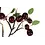 Kunsttak "Cherry" L rood/zwart, 2 assortie - 10x10x96cm