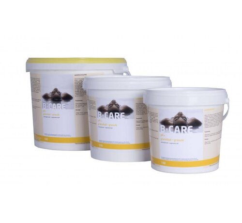 B-care 5kg poeder pH+ Zwembad zuurtegraad