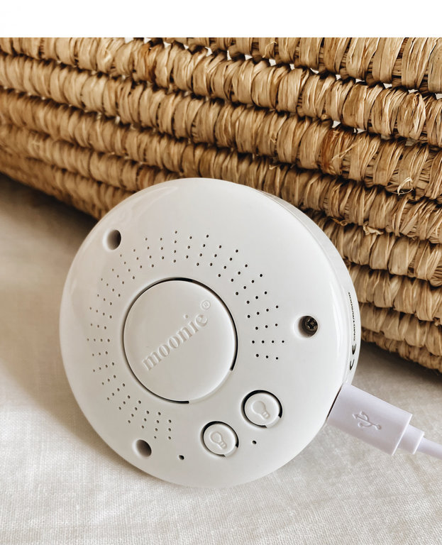 Moonie the humming bear // sand