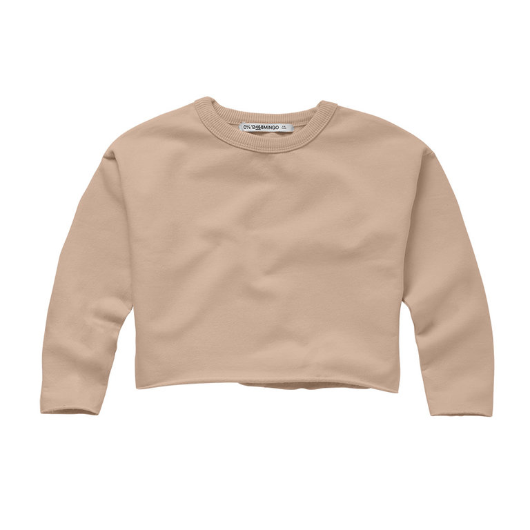 Mingo boxy sweater // rose grey