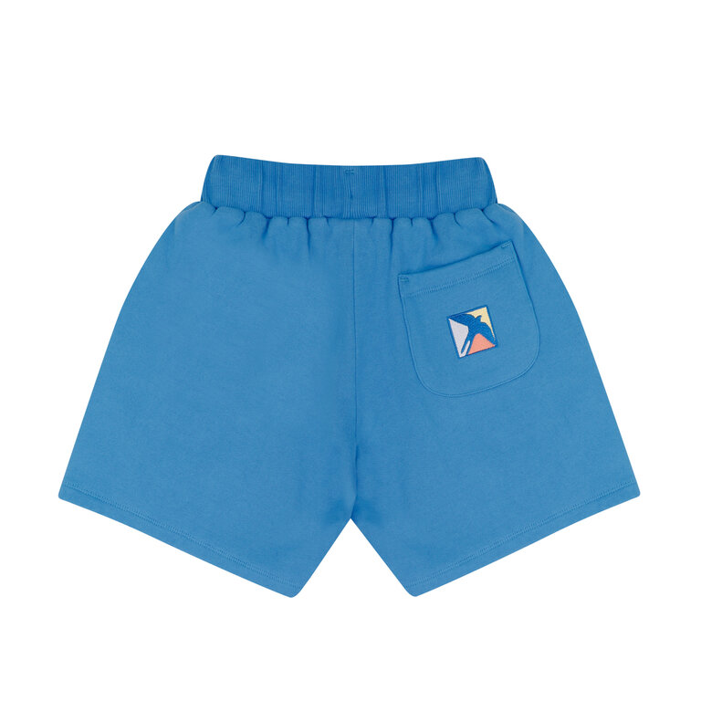 Jenest xavi shorts // bright blue