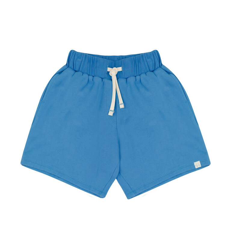 Jenest xavi shorts // bright blue