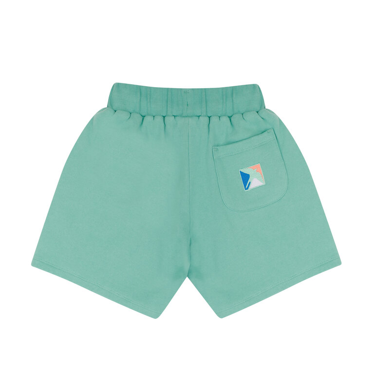 Jenest xavi shorts // watermelon green