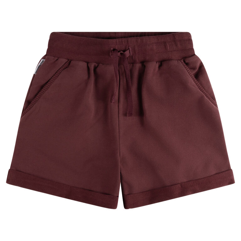 Mingo shorts // crushed violets