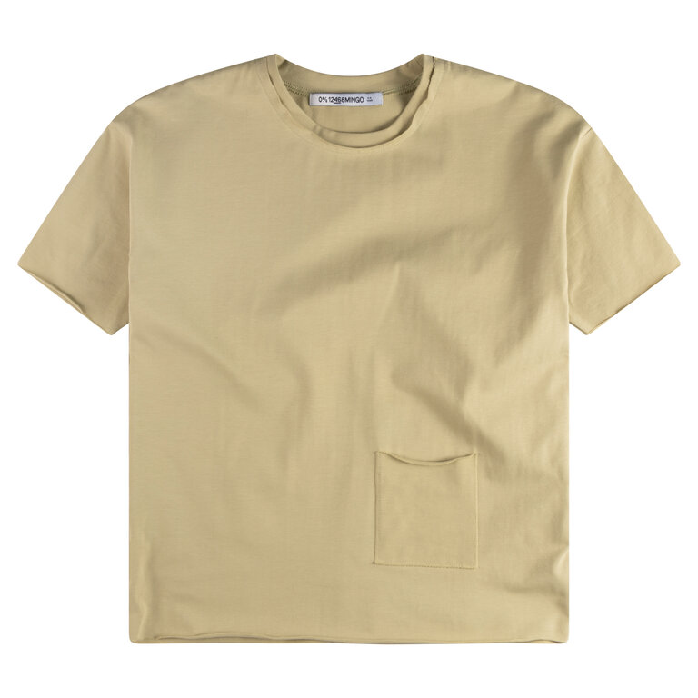 Mingo oversized t-shirt // sage green