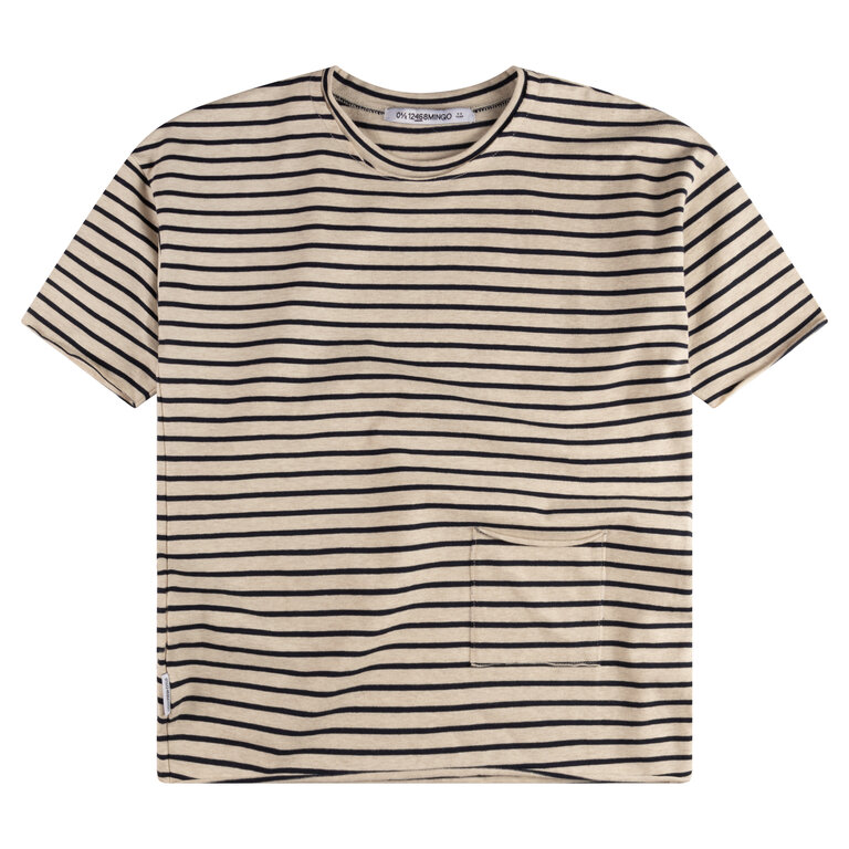 Mingo oversized t-shirt // navy stripe