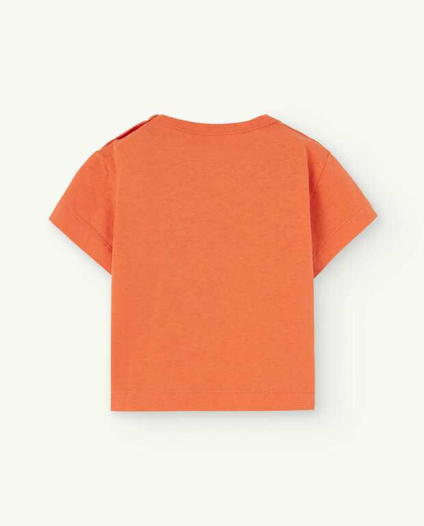 The Animals Observatory rooster baby t-shirt // orange