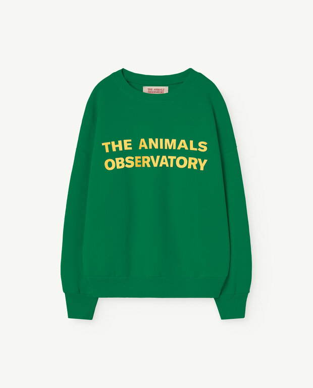 The Animals Observatory leo kids sweatshirt // green