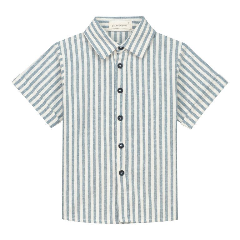 Charlie Petite ivan blouse // blue white stripe