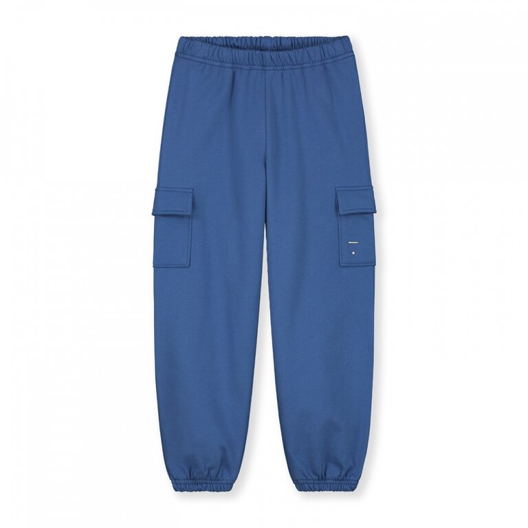 Gray Label cargo pants // blue moon