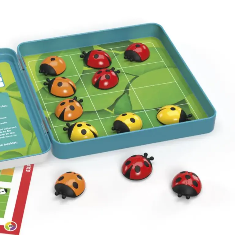 Smart Games magnetic travel game // logibugs