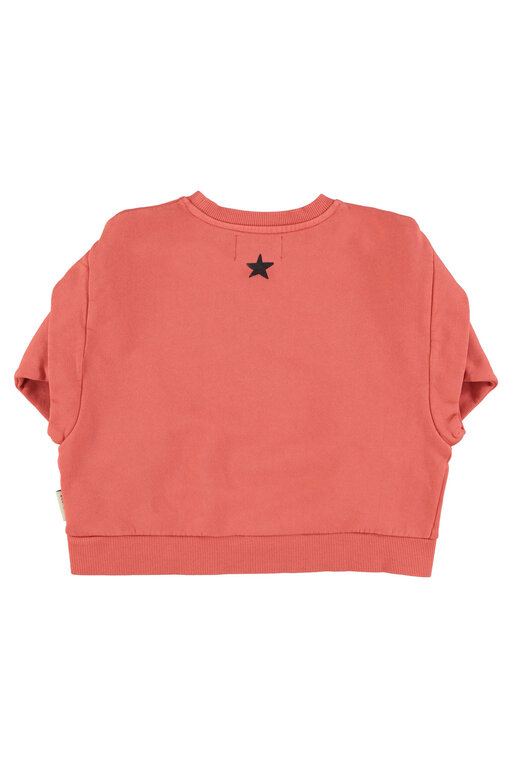 Piupiuchick sweatshirt // pink w groupie print