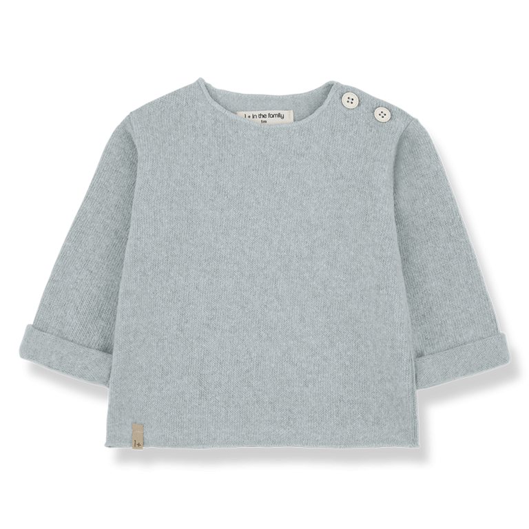 1+ in the family chapin longsleeve // nuvola