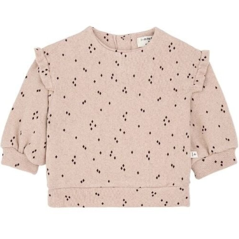 1+ in the family line sweater // nude