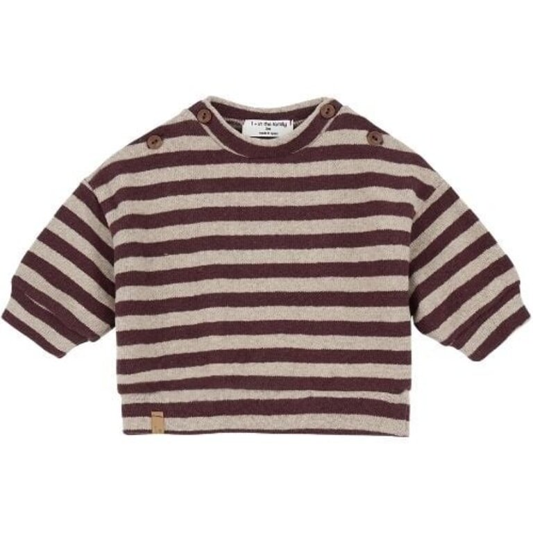 1+ in the family dirk sweater // melanzana