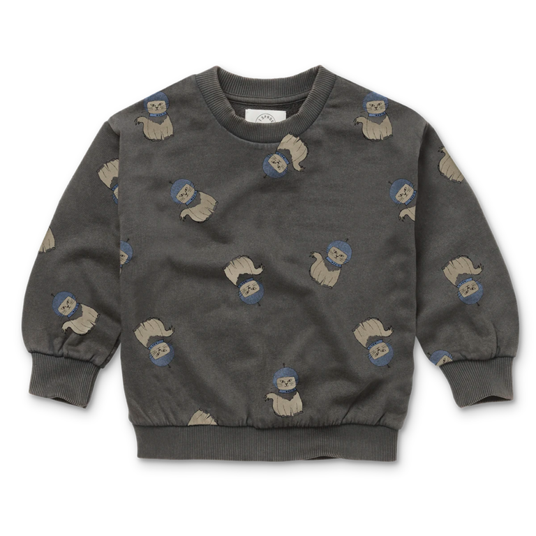 Sproet & sprout sweatshirt space cat print // washed black