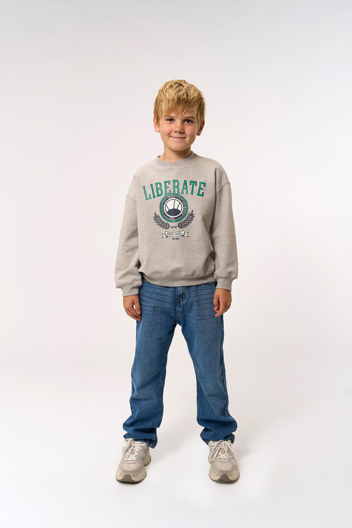 The New penno sweatshirt // light grey melange