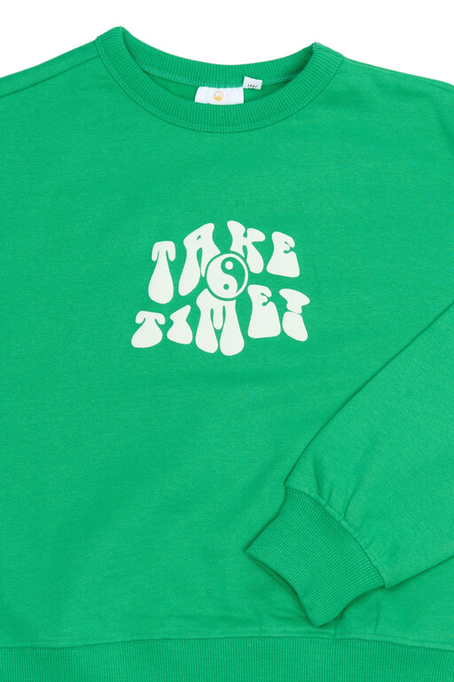 The New phyliss sweatshirt // simply green
