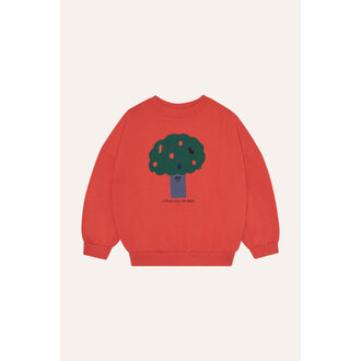 The Campamento big tree sweatshirt // red
