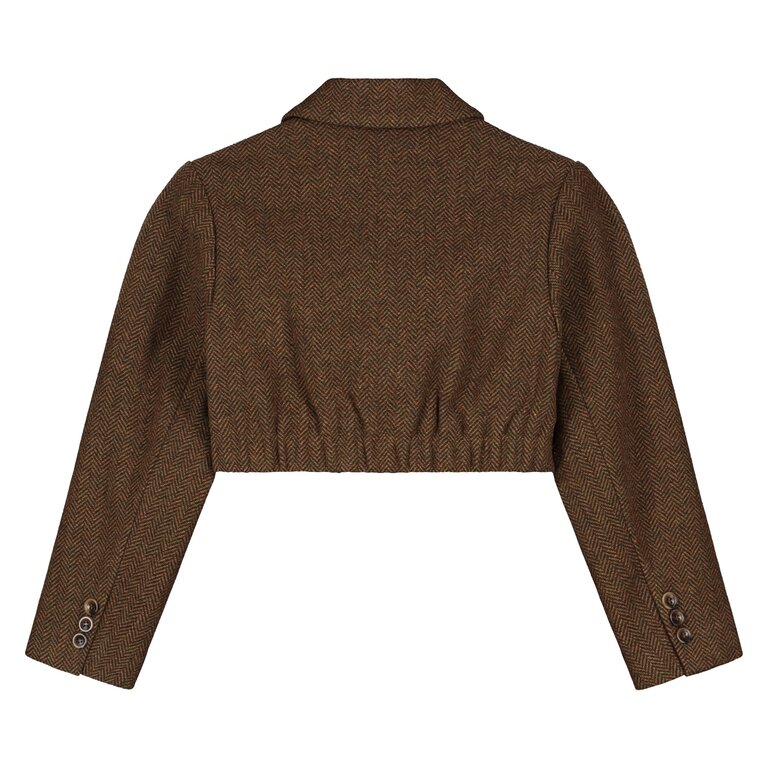 Charlie Petite nora cropped blazer // brown melange