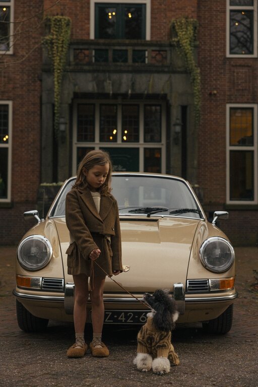 Charlie Petite nora cropped blazer // brown melange