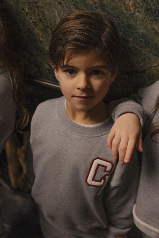Charlie Petite jackson sweater // grey melange