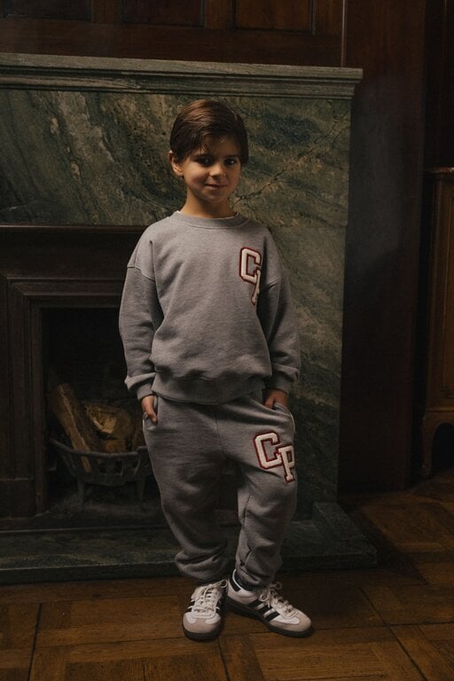 Charlie Petite jackson sweater // grey melange