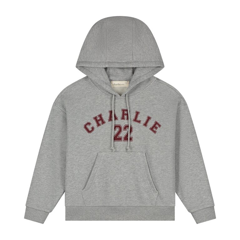 Charlie Petite indi sweater // grey melange
