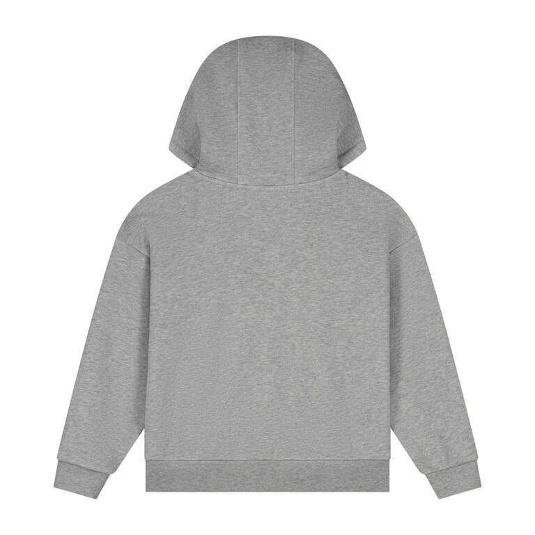 Charlie Petite indi sweater // grey melange