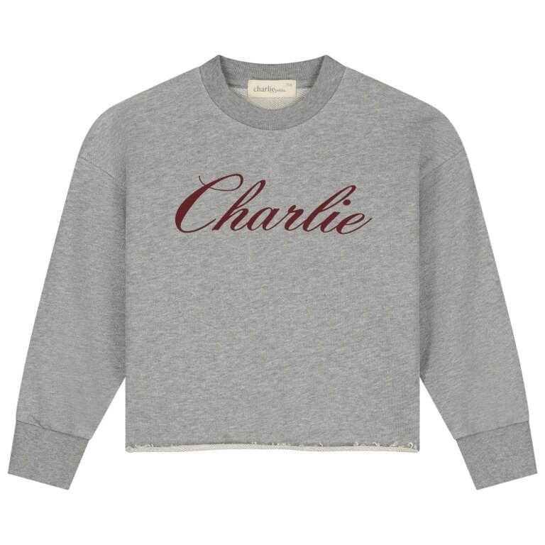 Charlie Petite lux sweater //  grey melange