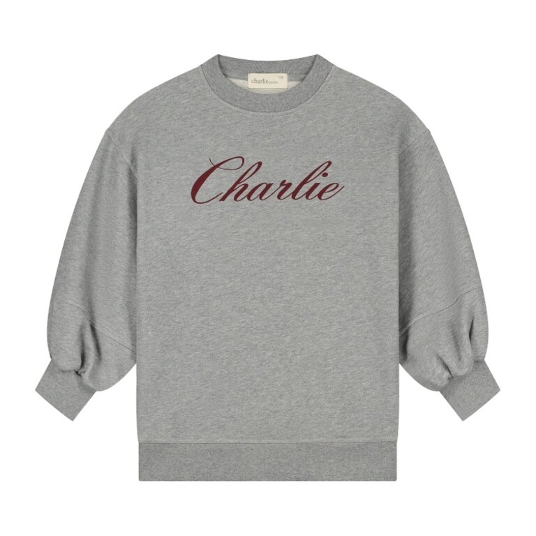 Charlie Petite nada sweater dress // grey melange