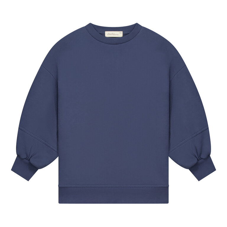 Charlie Petite nada sweater dress // denim blue
