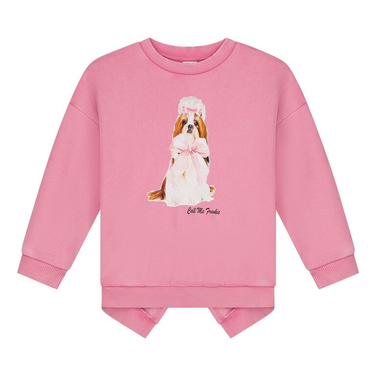 Call me Frankie fluffy dog sweater // pink