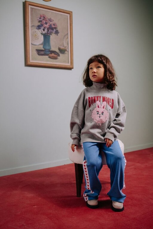 Call me Frankie cropped bunny world sweater // grey