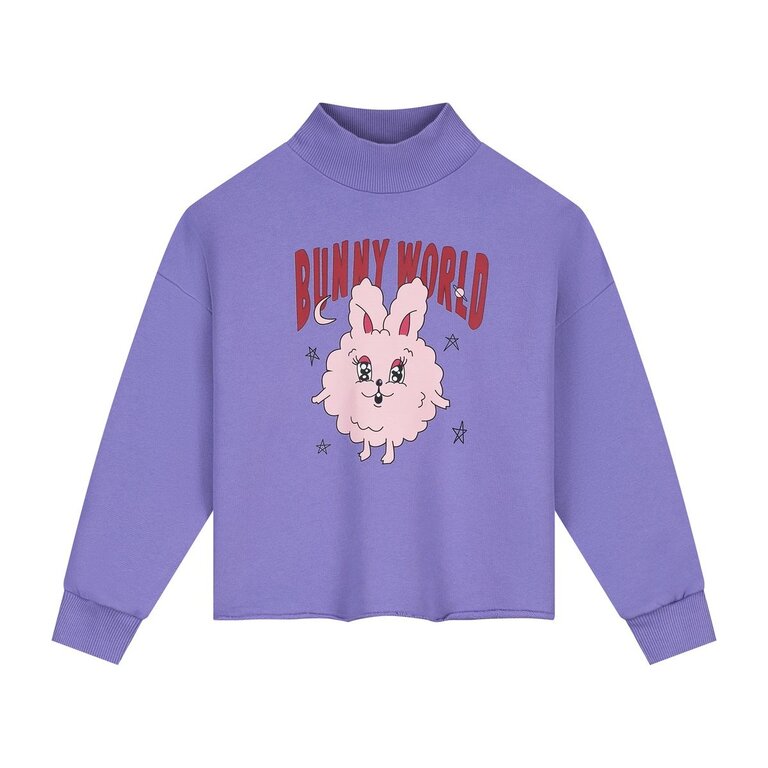 Call me Frankie cropped bunny world sweater // purple