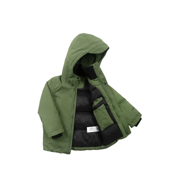 Gosoaky chipmunck // bronze green