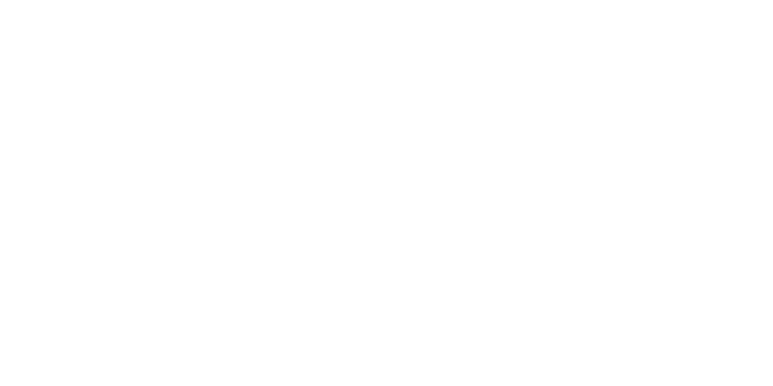 Smartek